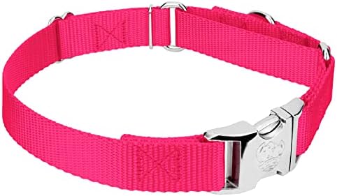 Country Brook Petz - Martingale Dog Collar - Heavy Duty Nylon Adjustable Martingale Dog Collar with Metal Buckle for Small Medium Large Breeds 30+ Color Options (1 Inch, Extra Large, Hot Pink)