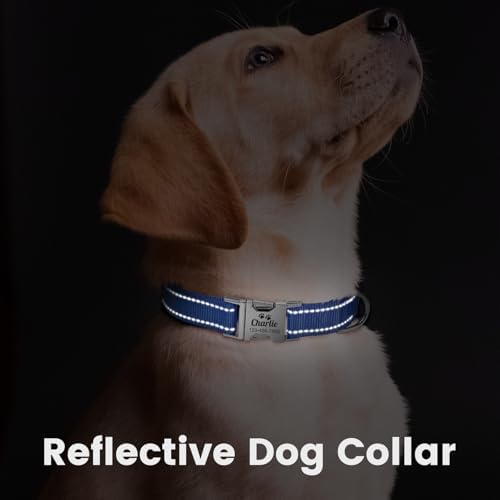 Silent Dog Collar Personalized with Name Phone Number Laser Engraved