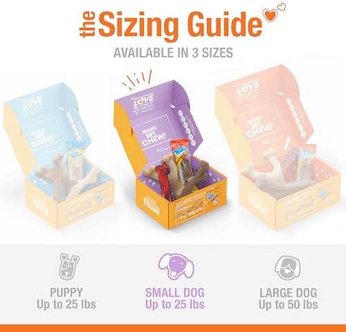 Nylabone Dog Gift Box, Strong Chew Toys & Treat, Small, 4 Count