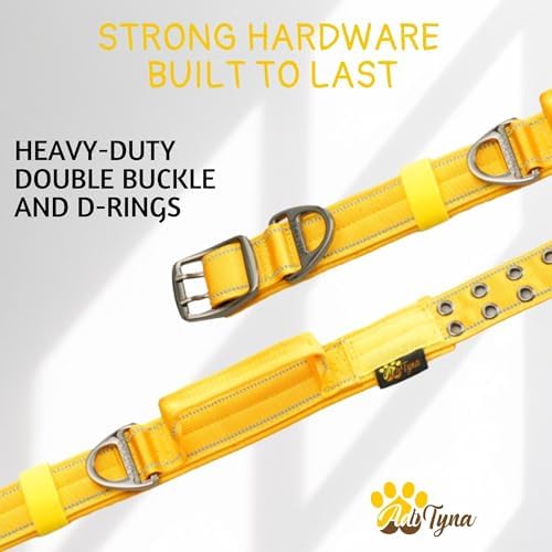 ADITYNA Heavy Duty Dog Collar for Extra-Large Dogs with Traffic Handle