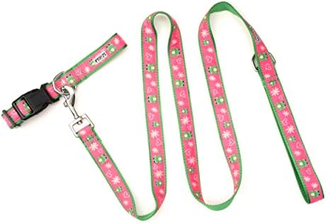 THE WORTHY DOG Fun Patterns Stylish Dog Leash, 5ft Length, Frogs
