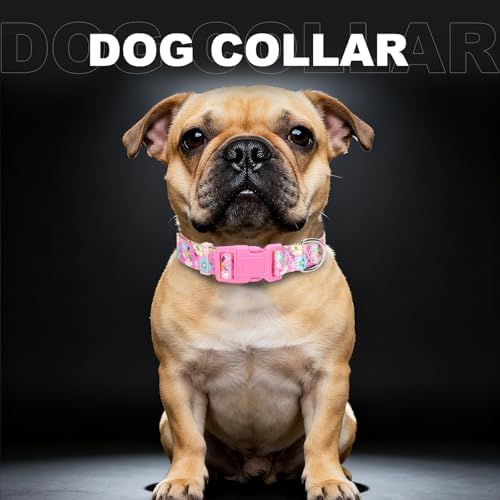 Girl Dog Collar for Medium Dogs,Cute Pink Flowers Female Dog Collars M