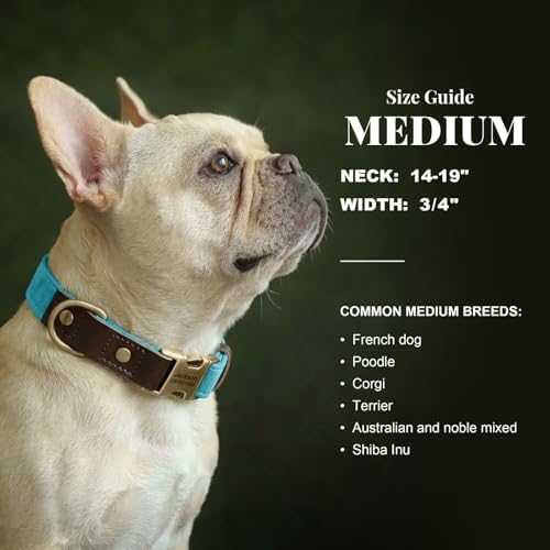Personalized Dog Collars, Quick Release Buckle, Light Blue,M