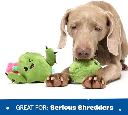 BarkBox Consuela the Cactus 2-in-1 Interactive Plush Dog Toy