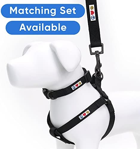 Pawtitas Personalized 6 ft Black Dog Leash XXS/Cat Custom Name and Phone Embroidery Strong Nylon Leash for Small Breeds
