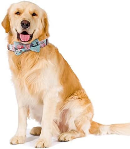Personalized Dog Collar with Bow Tie - Birthday Custom Dog Collar Flower with Metal Buckle Adjustable Cute Collar for Girl Puppy Small Medium Large Dog