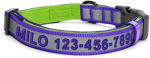 Pawtitas Personalized Dog Collar Reflective Dog Collar Padded Dog Collar with Name Phone Number Puppy Collar Adjustable Customized Collar for Small Dogs Breeds | Customized Purple Small Dog Collar