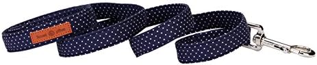 Lionet Paws Dog Leash,Handmade Dog Training Leash Pet Supply