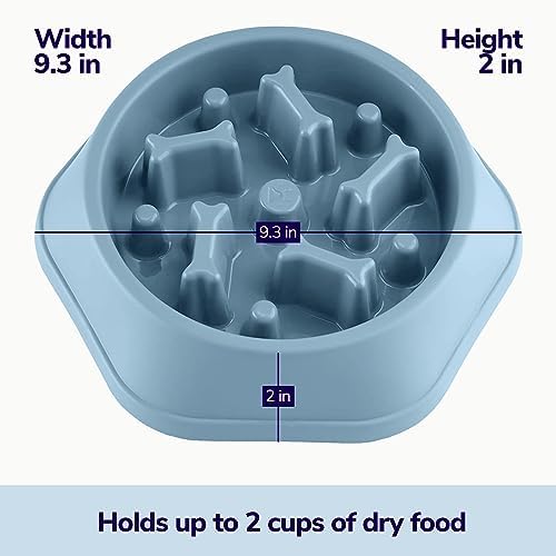 Miracle Vet Slow Feeder Dog Bowls for Fast Eaters - for Small, Medium Sized Dogs - Dog Puzzle Maze Helps Slow Down Eating - Adult, Puppy Food Bowl for Bloat Stop - Non-Slip Feeder Bowl (Blue)