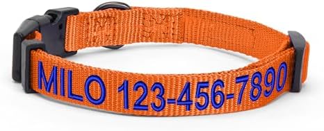 Pawtitas Personalized Dog Collar Medium Dog Collar Embroider with Name Phone Number Puppy Collar Adjustable Customized Collar for Medium Dogs Breeds Puppy Orange Dog Collar