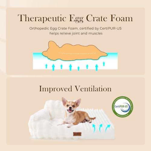 ZOMISIA Orthopedic Cat Couch Bed for Indoor Cats, Removable Washable Cover