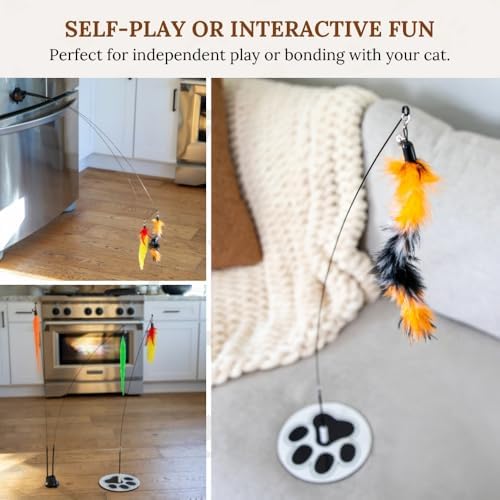 Cat Toys for Indoor Cats, Interactive Cat Toy Wand, Kitten Stuff, 9 Lures