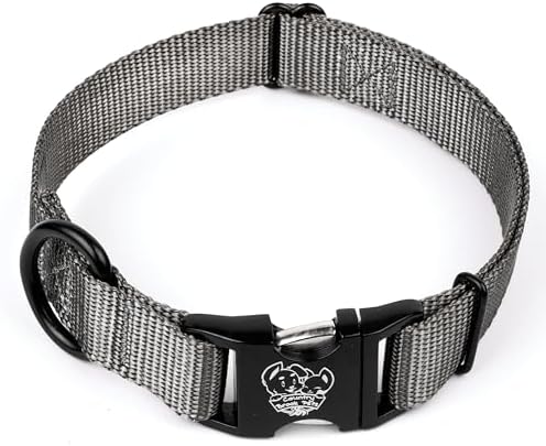 Country Brook Petz - Premium Nylon Dog Collar with Metal Buckle for Small Medium Large Breeds - 30+ Colors (Extra Large, 1 Inch, Charcoal)