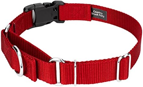 Martingale Dog Collar - Heavy Duty Nylon Adjustable Martingale Dog Collar with Plastic Buckle for Small Medium Large Breeds - 30+ Colors (1 Inch, Extra Large, Red)