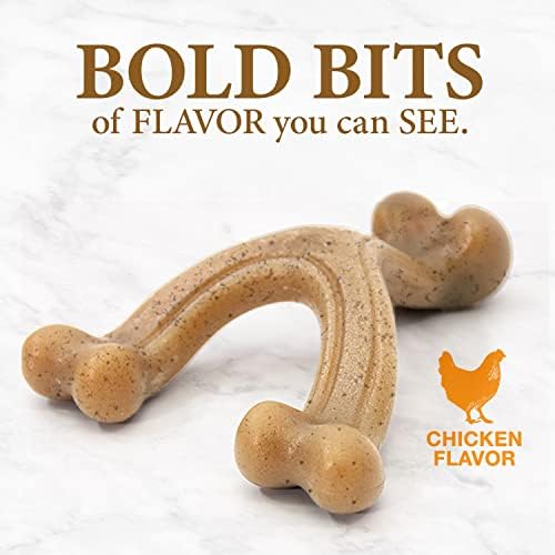 Nylabone Strong Chew Gourmet Style Wishbone Dog Chew Toy, Chicken Flavor