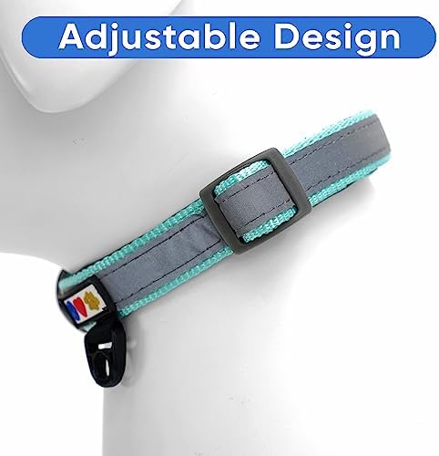 Pawtitas Personalized Dog Collar Reflective Dog Collar Padded Dog Collar with Name Phone Number Puppy Collar Adjustable Customized Collar for Large Dogs Breeds | Customized Teal Large Dog Collar