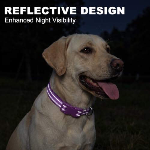 azuza Reflective Dog Collar, Neoprene Padded Large Dog Collar, Purple, L