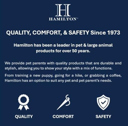 Hamilton Heavy Duty Nylon Buckle Dog Collar, 1" x 32", Blue