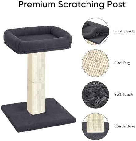 Cat Scratching Post with Plush Perch for Indoor Cats, 32 Inch
