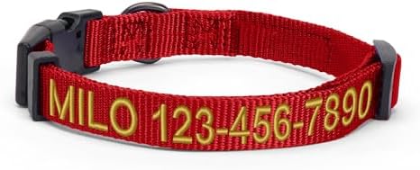 Pawtitas Personalized Dog Collar - Embroidered with Name & Phone Number - Adjustable for Small Dogs & Puppies - Red