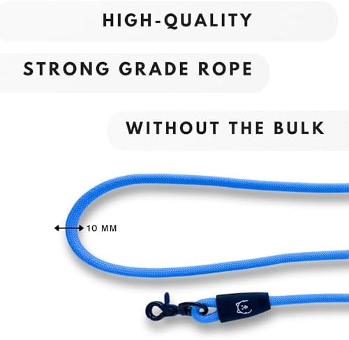 ShawnCo Basecamp Rope Dog Leash (Orchid, 6 Feet)