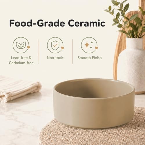 Havniva Ceramic Dog Bowls Elevated, Raised Dog Food Bowl for Small Dogs