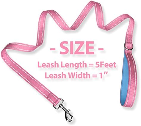 PHOEPET 5 Feet Dog Leash - Dual-Side Reflective - Soft Padded Handle