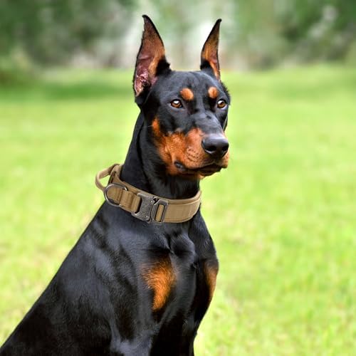 Tactical Dog Collar Leash Set, Adjustable Military Training Collar, Brown L