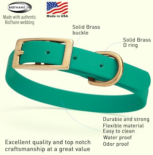 Viper Biothane Heavy Duty Waterproof Dog Collar Strong Coated Nylon Webbing w/Solid Brass Hardware Odor-Proof Easy to Clean High Performance Fits Small Medium or Large Dogs, Teal