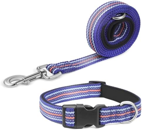 Reflective Dog Collar and Leash Set (4 FT/5 FT) for Small Dogs