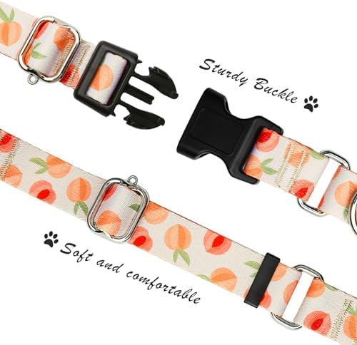 Hikiko Martingale Collar for Dogs with Special Pattern,Adjustable,L