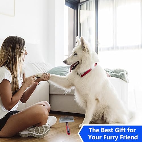 Slicker Brush for Dogs, Deshedding Dog Brush - Removes Loose Fur and Tangles, 1"" Extra Long Pins Go Deep Into The Undercoat, Professional Grade Dog Brush for Shedding, Large, Red
