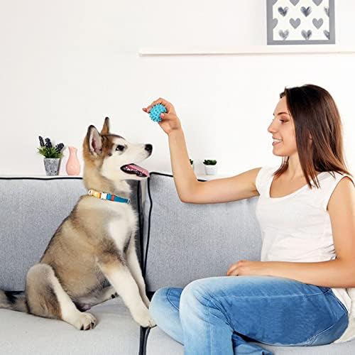 Canvas Nylon Dog Collar Durable and Adjustable Classic Pet Collars with Quick-Release Metal Buckle and D-Ring for Small Medium Large Boy and Girl Dogs (S, Lake Blue)