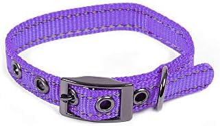 Max and Neo MAX Reflective Metal Buckle Dog Collar - We Donate a Collar to a Dog Rescue for Every Collar Sold (X-Small, Purple)