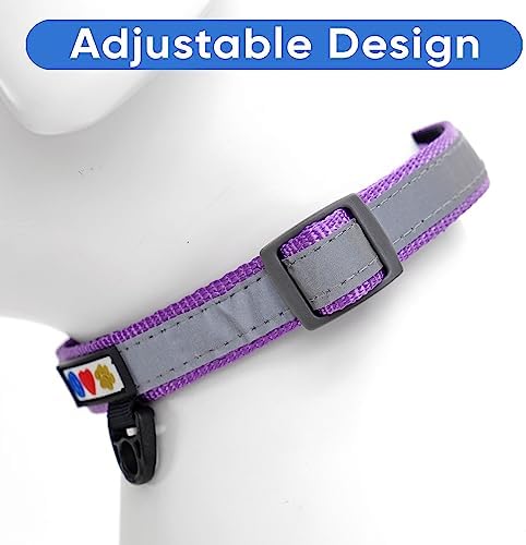 Pawtitas Personalized Dog Collar Reflective Dog Collar Padded Dog Collar with Name Phone Number Puppy Collar Adjustable Customized Collar for Small Dogs Breeds | Customized Orchid Small Dog Collar