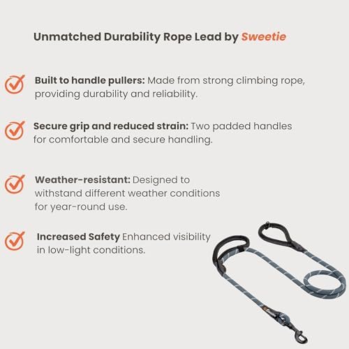 Sweetie Rope Dog Lead - Strong Leash with 2 Comfortable Padded Handles 5 FT for Medium & Large Size Pets - Reflective, Weather Resistant & O-Ring. Grey