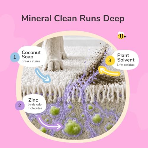 kin+kind Pet Pee Stain & Odor Remover, Carpet & Fabric, Lavender, 32 oz