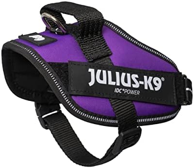 Julius-K9 IDC Powerharness, Size: XS/Mini-Mini, Dark Purple