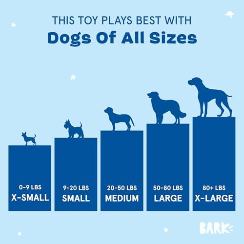BarkBox Fresh Squeaked OJ Dog Toy - 2-in-1 - Toy for Medium Dogs