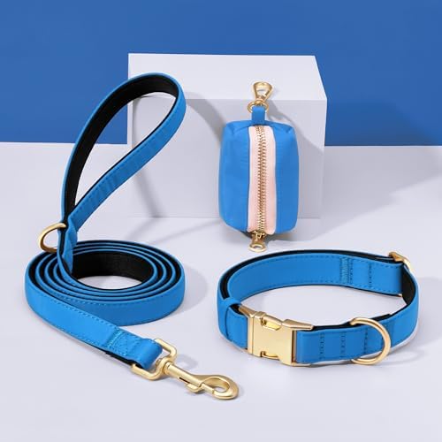 Didog Soft Padded Dog Collar for Large Dogs, Blue, L Neck 16-22"