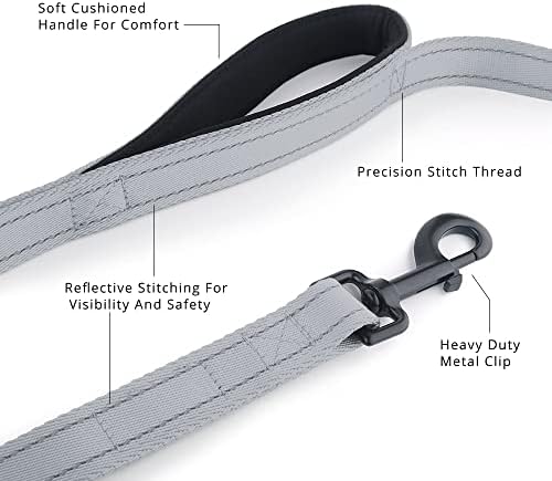 Plutus Pet Double Handle Dog Leash, 4 FT Long, for Medium Large Dogs