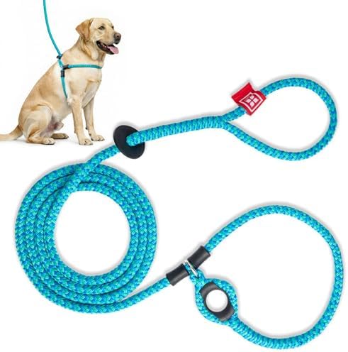 Harness Lead No Pull Dog Harness and Leash Set, Anti Pull Dog Harness for All Breeds and Sizes, One-Piece Cushioned Rope Design Safely Prevents Escaping and Pulling (Medium/Large, Blue/Multi)