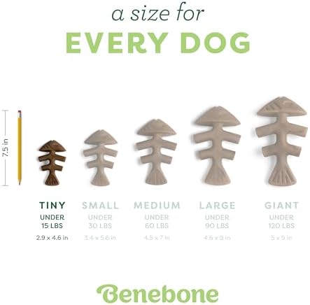 Benebone Tiny 2-Pack Fishbone Durable Dog Chew Toys, Real Fish
