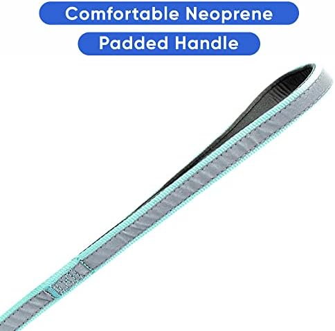 Pawtitas Personalized Teal Dog Leash 6 ft Custom ID Lead for Dogs & Puppies Reflective Comfortable Padded Handle Embroidered Name & Phone Number