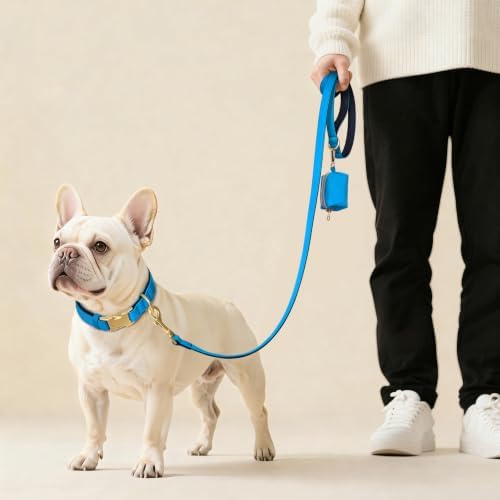 Didog Soft Padded Dog Collar for Medium Dogs, Blue, M Neck 14-18"
