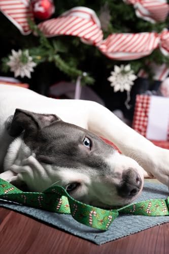 Country Brook Design - Candy Cane Christmas Everyday Dog Leash - Christmas Collection Featuring Festive Designs (4 Foot, 5/8 Inch Wide)