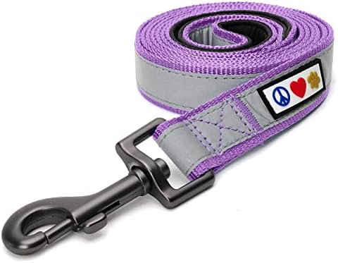 Pawtitas Orchid Dog Leash 6 ft Custom ID Lead for Dogs & Puppies Reflective Comfortable Padded Handle Embroidered Name & Phone Number