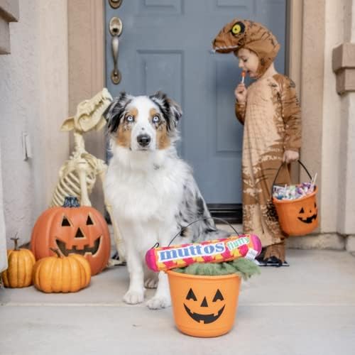 Huxley & Kent for Dogs | Muttos (Large) | Halloween Candy Dog Toy with Squeaker | Funny Dog Toy Gift | Fun, Durable, and Safe | H&K Squeaky Dog