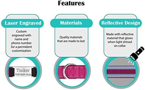 Personalized Dog Collar - Custom Engraved ID Tags with Reflective Material - Small Medium or Large Size with Name Plate (X-Large, Pink)