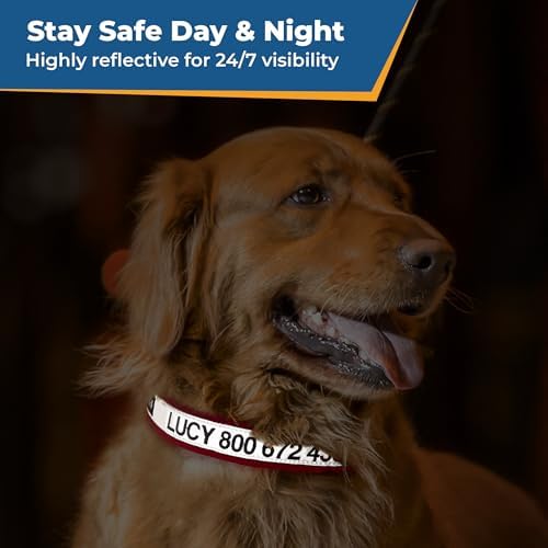 GoTags Embroidered Reflective Dog Collars with Metal Buckle, Personalized Dog Collar Custom Embroidered with Pet Name and Phone Number, Sizes for Puppy and Dogs Extra Small, to Medium and Large